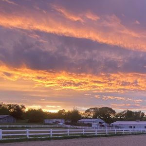 Meet your Posher, Carly